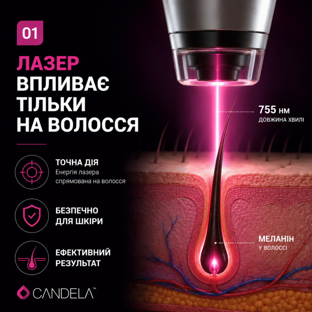 77cefd0d-92da-401d-9885-cd4575a729ae